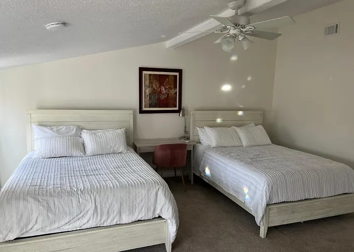 Large Bedroom With 2 Queen Bed - Not Entire Place